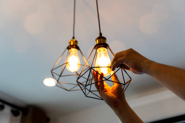 Best Home Electrical Repair  in Belmont, WI